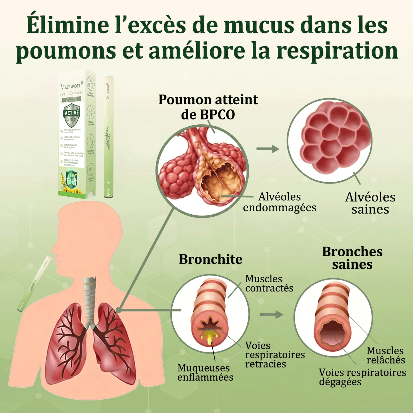 𝐃é𝐭𝐞𝐧𝐮𝐞 𝐞𝐭 𝐞𝐱𝐩𝐥𝐨𝐢𝐭é𝐞 𝐩𝐚𝐫 𝐥𝐚 𝐅𝐫𝐚𝐧𝐜𝐞✅𝑴𝒖𝒓𝙬𝙤𝐧® 𝑫𝒊𝒇𝒇𝒖𝒔𝒆𝒖𝒓 𝒅𝒆 𝑵𝒆𝒕𝒕𝒐𝒚𝒂𝒈𝒆 𝑷𝒖𝒍𝒎𝒐𝒏𝒂𝒊𝒓𝒆 à 𝒍𝒂 𝑴𝒐𝒍è𝒏𝒆 𝑩𝒐𝒕𝒂𝒏𝒊𝒒𝒖𝒆 (🫁 Toux, Pharyngite, essoufflement, expectorations, nez bouché, bronchite, symptômes allergiques, gêne pulmonaire)1❤️
