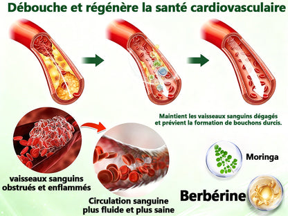 Vert et sans pollution👩‍⚕️|𝙈𝘜𝗥𝖶𝑶𝑁® 𝑴-𝑩-𝙉 𝟭𝟎-𝒆𝒏-𝟏 𝙋𝙖𝙩𝙘𝙝 𝗠é𝘁𝗮𝗯𝗼𝗹𝗶𝗾𝘂𝗲 𝑵𝒂𝒏𝒐 𝐅𝐮𝐬𝐢𝐨𝐧🌼𝑺𝒐𝒖𝒕𝒆𝒏𝒖 𝘱𝘢𝘳 𝐥𝐚 𝐬𝐜𝐢𝐞𝐧𝐜𝐞 | 𝙵𝚘𝚛𝚖𝚞𝚕𝚎 𝟭𝟎-𝓮𝓷-1 | 𝙍é𝙨𝙪𝙡𝙩𝙖𝙩𝙨 𝚎𝚗 𝟽 𝚓𝚘𝚞𝚛𝚜🌼