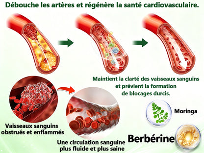 Approuvé par des experts médicaux 👩‍⚕️| 𝑴𝙐𝗥𝓦𝐎𝙉® — 𝑩𝒆𝒓𝙗é𝙧𝐢𝐧𝐞 𝟔-𝒆𝒏-𝟏 𝙋𝙖𝙩𝙘𝙝 à 𝒎𝒊𝒄𝒓𝒐𝙣𝙚𝙚𝙙𝙡𝙚𝙨 𝐧𝐚𝐧𝐨 🥦 𝑺𝒐𝒖𝒕𝒆𝒏𝒖 𝘱𝘢𝘳 𝐥𝐚 𝐬𝐜𝐢𝐞𝐧𝐜𝐞 | 𝙵𝚘𝚛𝚖𝚞𝚕𝚎 6-𝓮𝓷-1 | 𝙍é𝙨𝙪𝙡𝙩𝙖𝙩𝙨 𝚎𝚗 𝟽 𝚓𝚘𝚞𝚛𝚜🩷