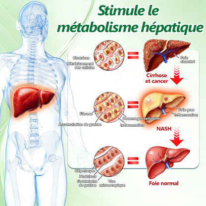 Approuvé par des experts médicaux 👩‍⚕️| 𝑴𝙐𝗥𝓦𝐎𝙉® — 𝑩𝒆𝒓𝙗é𝙧𝐢𝐧𝐞 𝟔-𝒆𝒏-𝟏 𝙋𝙖𝙩𝙘𝙝 à 𝒎𝒊𝒄𝒓𝒐𝙣𝙚𝙚𝙙𝙡𝙚𝙨 𝐧𝐚𝐧𝐨 🥦 𝑺𝒐𝒖𝒕𝒆𝒏𝒖 𝘱𝘢𝘳 𝐥𝐚 𝐬𝐜𝐢𝐞𝐧𝐜𝐞 | 𝙵𝚘𝚛𝚖𝚞𝚕𝚎 6-𝓮𝓷-1 | 𝙍é𝙨𝙪𝙡𝙩𝙖𝙩𝙨 𝚎𝚗 𝟽 𝚓𝚘𝚞𝚛𝚜🩷