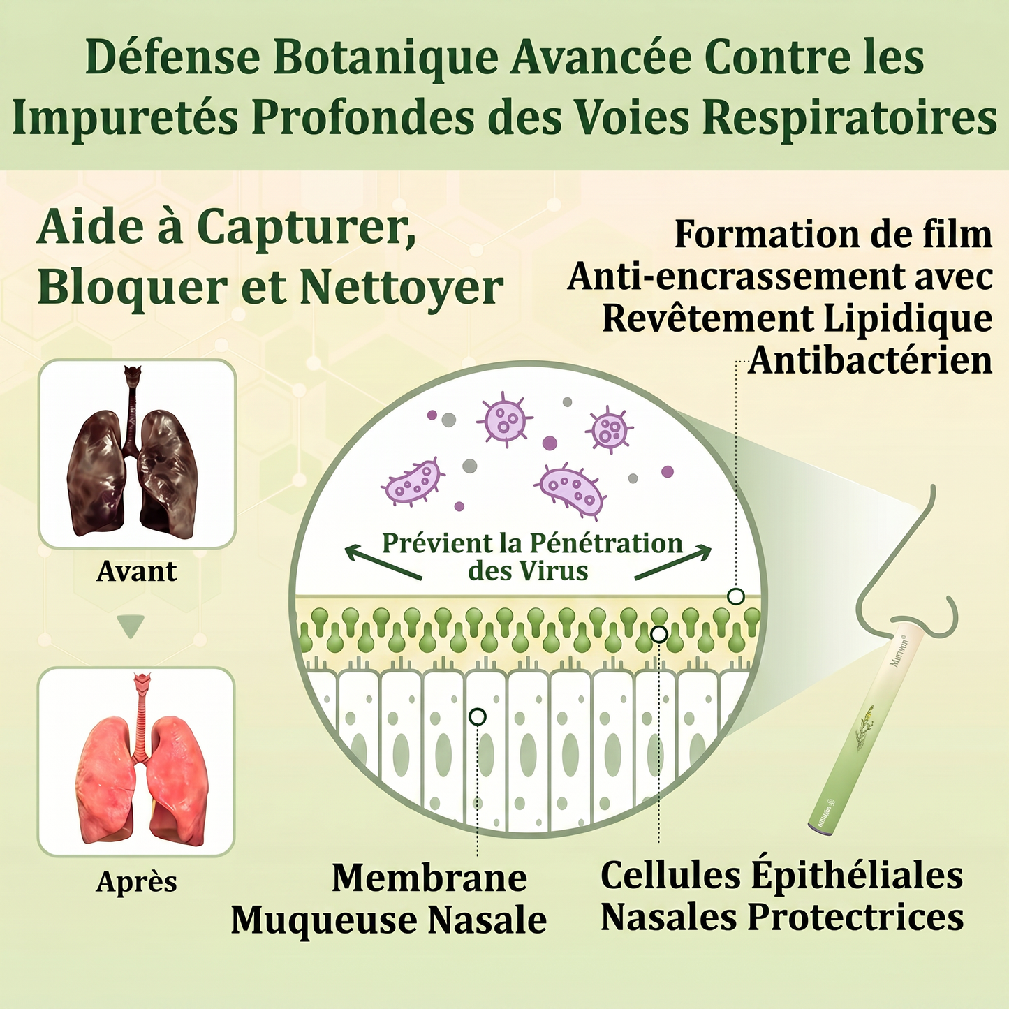 𝐃é𝐭𝐞𝐧𝐮𝐞 𝐞𝐭 𝐞𝐱𝐩𝐥𝐨𝐢𝐭é𝐞 𝐩𝐚𝐫 𝐥𝐚 𝐅𝐫𝐚𝐧𝐜𝐞✅𝑴𝒖𝒓𝙬𝙤𝐧® 𝑫𝒊𝒇𝒇𝒖𝒔𝒆𝒖𝒓 𝒅𝒆 𝑵𝒆𝒕𝒕𝒐𝒚𝒂𝒈𝒆 𝑷𝒖𝒍𝒎𝒐𝒏𝒂𝒊𝒓𝒆 à 𝒍𝒂 𝑴𝒐𝒍è𝒏𝒆 𝑩𝒐𝒕𝒂𝒏𝒊𝒒𝒖𝒆 (🫁 Toux, Pharyngite, essoufflement, expectorations, nez bouché, bronchite, symptômes allergiques, gêne pulmonaire)1❤️
