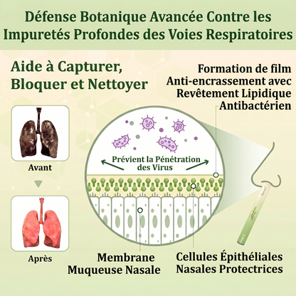 𝐃é𝐭𝐞𝐧𝐮𝐞 𝐞𝐭 𝐞𝐱𝐩𝐥𝐨𝐢𝐭é𝐞 𝐩𝐚𝐫 𝐥𝐚 𝐅𝐫𝐚𝐧𝐜𝐞✅𝑴𝒖𝒓𝙬𝙤𝐧® 𝑫𝒊𝒇𝒇𝒖𝒔𝒆𝒖𝒓 𝒅𝒆 𝑵𝒆𝒕𝒕𝒐𝒚𝒂𝒈𝒆 𝑷𝒖𝒍𝒎𝒐𝒏𝒂𝒊𝒓𝒆 à 𝒍𝒂 𝑴𝒐𝒍è𝒏𝒆 𝑩𝒐𝒕𝒂𝒏𝒊𝒒𝒖𝒆 (🫁 Toux, Pharyngite, essoufflement, expectorations, nez bouché, bronchite, symptômes allergiques, gêne pulmonaire)1❤️