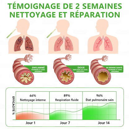 𝐃é𝐭𝐞𝐧𝐮𝐞 𝐞𝐭 𝐞𝐱𝐩𝐥𝐨𝐢𝐭é𝐞 𝐩𝐚𝐫 𝐥𝐚 𝐅𝐫𝐚𝐧𝐜𝐞✅ 𝑴𝒖𝒓𝙬𝙤𝐧® 𝑫𝒊𝒇𝒇𝒖𝒔𝒆𝒖𝒓 𝒅𝒆 𝑵𝒆𝒕𝒕𝒐𝒚𝒂𝒈𝒆 𝑷𝒖𝒍𝒎𝒐𝒏𝒂𝒊𝒓𝒆 à 𝒍𝒂 𝑴𝒐𝒍è𝒏𝒆 𝑩𝒐𝒕𝒂𝒏𝒊𝒒𝒖𝒆 (🫁 Toux, Pharyngite, essoufflement, expectorations, nez bouché, bronchite, symptômes allergiques, gêne pulmonaire)1🎉🎉