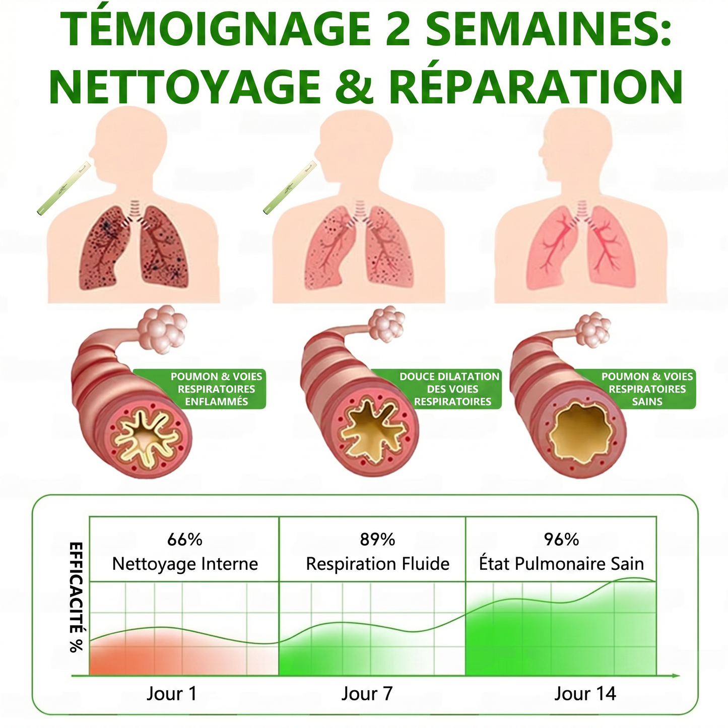 𝐃é𝐭𝐞𝐧𝐮𝐞 𝐞𝐭 𝐞𝐱𝐩𝐥𝐨𝐢𝐭é𝐞 𝐩𝐚𝐫 𝐥𝐚 𝐅𝐫𝐚𝐧𝐜𝐞✅𝑴𝒖𝒓𝙬𝙤𝐧® 𝑫𝒊𝒇𝒇𝒖𝒔𝒆𝒖𝒓 𝒅𝒆 𝑵𝒆𝒕𝒕𝒐𝒚𝒂𝒈𝒆 𝑷𝒖𝒍𝒎𝒐𝒏𝒂𝒊𝒓𝒆 à 𝒍𝒂 𝑴𝒐𝒍è𝒏𝒆 𝑩𝒐𝒕𝒂𝒏𝒊𝒒𝒖𝒆 (🫁 Toux, Pharyngite, essoufflement, expectorations, nez bouché, bronchite, symptômes allergiques, gêne pulmonaire)1❤️