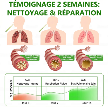 𝐃é𝐭𝐞𝐧𝐮𝐞 𝐞𝐭 𝐞𝐱𝐩𝐥𝐨𝐢𝐭é𝐞 𝐩𝐚𝐫 𝐥𝐚 𝐅𝐫𝐚𝐧𝐜𝐞✅𝑴𝒖𝒓𝙬𝙤𝐧® 𝑫𝒊𝒇𝒇𝒖𝒔𝒆𝒖𝒓 𝒅𝒆 𝑵𝒆𝒕𝒕𝒐𝒚𝒂𝒈𝒆 𝑷𝒖𝒍𝒎𝒐𝒏𝒂𝒊𝒓𝒆 à 𝒍𝒂 𝑴𝒐𝒍è𝒏𝒆 𝑩𝒐𝒕𝒂𝒏𝒊𝒒𝒖𝒆 (🫁 Toux, Pharyngite, essoufflement, expectorations, nez bouché, bronchite, symptômes allergiques, gêne pulmonaire)1❤️